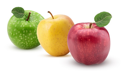 Apples red yellow green with leaf