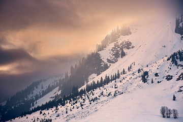 Vorarlberger Alpen