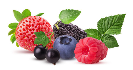 Black currant, raspberry, strawberry, blueberry, mulberry  with leaf