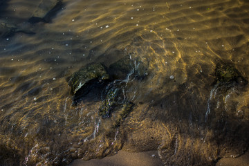 Rhein Wasser 