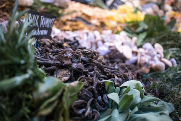 Different types of mushrooms for sale on counter at Borough Market