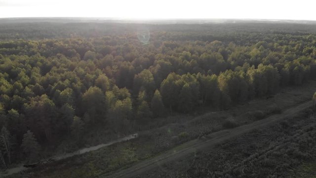 take-off over an agricultural field overgrown with grass at the edge of the forest, sunset, shot on a drone, 4k