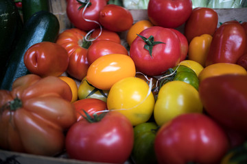 Different types of tomatoes for sale on counter at Borough Market
