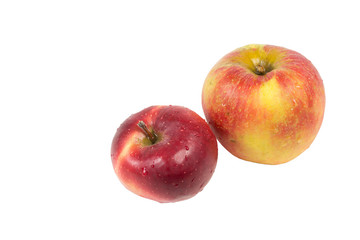 Fresh apples on white. Isolated elements for design layouts.
