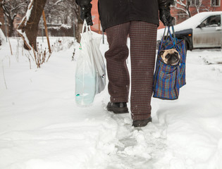 A man carries a French bulldog dog in a carrying bag