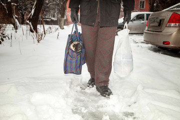 A man carries a French bulldog dog in a carrying bag
