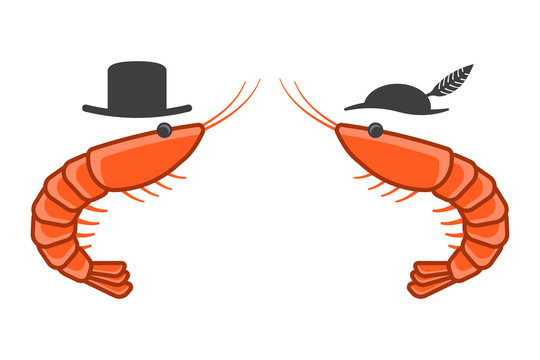 Cartoon icon of two shrimps opposite each other in male and female hats. Isolated vector on a white background