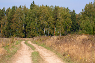 Fototapeta na wymiar Beautiful winding rural country dusty road running through a field of dry brown and green grass to a forest of birch trees on a sunny summer windy day. Rest in the village, a walk in nature
