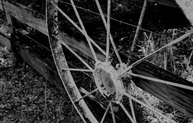 Fototapeta na wymiar country wheel