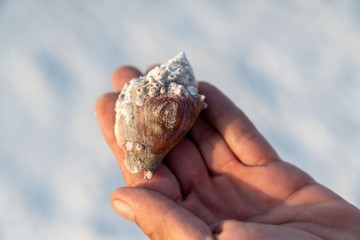 oceans textures at sunset