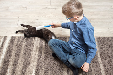 Czarny domowy kot leży na dywanie. Chłopiec w wieku szkolnym trzyma wałek do czyszczenia ubrań...