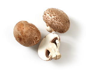 fresh mushrooms on white background