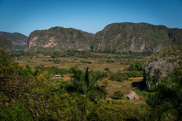 Obraz premium Cuba Cigar Maker Farm
