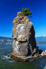 Distinctive Siwash Rock in Stanley Park / Vancouver / British Columbia / Canada
