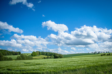 green field and blue sky