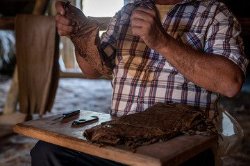 Cuba Cigar Maker Farm
