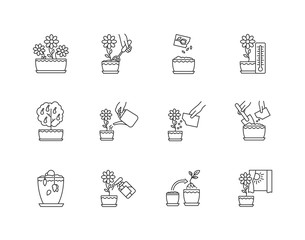 Houseplant care pixel perfect linear icons set. Repotting, spraying plants. Watering, fertilizing. Customizable thin line contour symbols. Isolated vector outline illustrations. Editable stroke