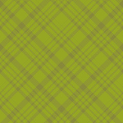 Seamless pattern in wonderful moss green colors for plaid, fabric, textile, clothes, tablecloth and other things. Vector image. 2