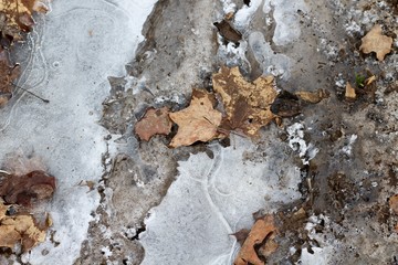 The ice cracked frozen water puddle on the ground.
