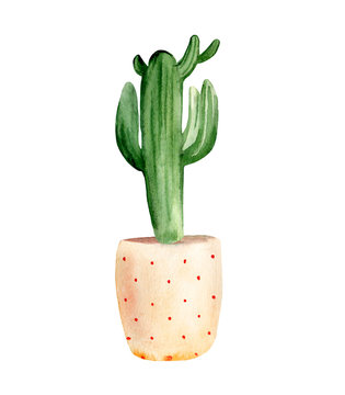 Watercolor hand painted illustration of cactus in yellow polka dotted flower pot. Isolated element on white background.