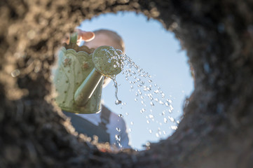 Mann befeuchtet ein Erdloch als Vorbereitung zum Einpflanzen junger Pflanzen im Frühjahr