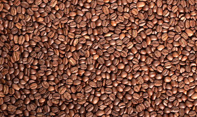 Texture of coffee seeds, selective focus, close-up