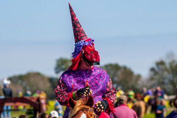 Courir de Mardi Gras  Chicken Chasing in Mamou Louisiana © Lane