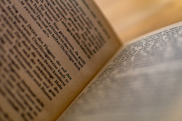 Buch