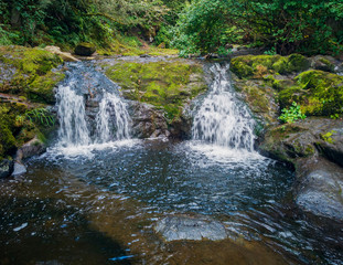 Remarkable Lower Little Mashel Falls cascading into a moss covered rocky surface leading to a small pool of water in the creek at the Charles Pack Forest during the summer in Pierce County Washington 
