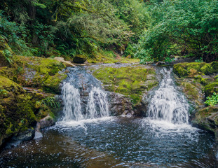 Remarkable Lower Little Mashel Falls cascading into a moss covered rocky surface leading to a small pool of water in the creek at the Charles Pack Forest during the summer in Pierce County Washington 