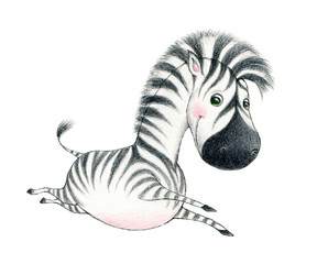Cute baby zebra on a white background - 321127612
