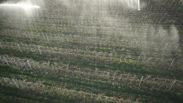 WS View of sprinkling water in field at Italy