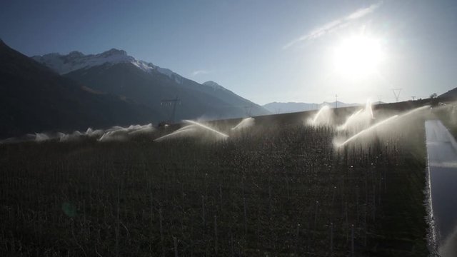 WS View of sprinkling water in field at Italy