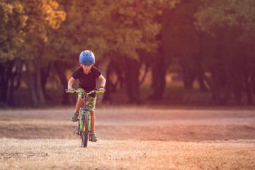 Happy kid boy of 7 years having fun in autumn park with a bicycle on beautiful fall day. Active child wearing bike helmet