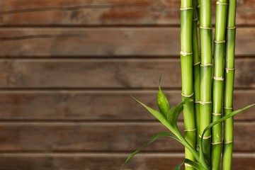 Many bamboo stalks on wooden background