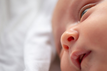 Portrait of a little newborn girl