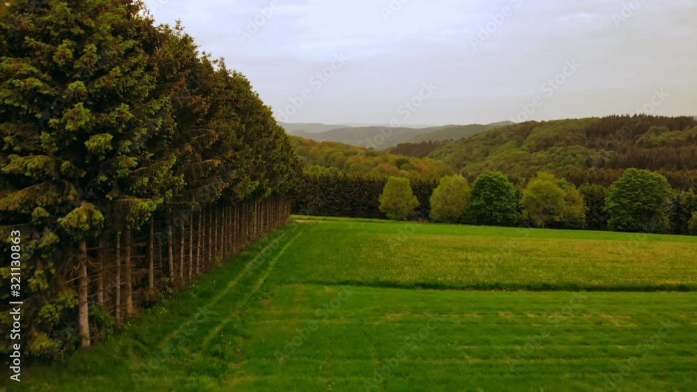 Poster aerial view on autumn forest in cloudy day drone flying above green trees autumn landscape in the mo