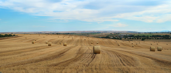 Fototapeta na wymiar Nature scenery of the countryside near the ancient town of Matera (Sassi di Matera) with rounded hay packs on the dry field, Basilicata, southern Italy