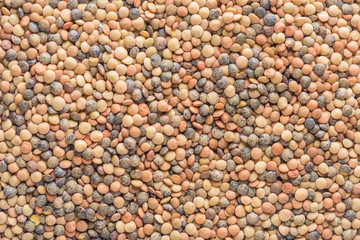 Mixed lentils seeds texture