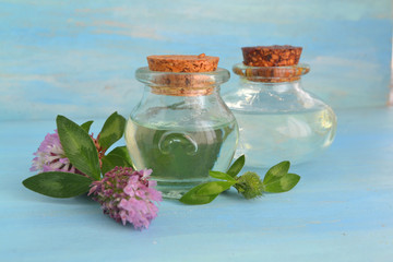Clover tincture or infusion and clover flowers bunch. Healthy lifestyle concept