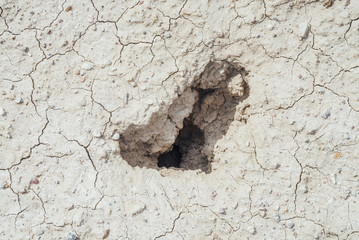 Nature background of cracked dry lands. Natural texture of soil with cracks. Broken clay surface of barren dryland wasteland close-up. Full frame to terrain with arid climate. Lifeless desert on earth