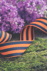 Traditional Saint George ribbon on natural moss background with lilac branch, symbol of Victory...