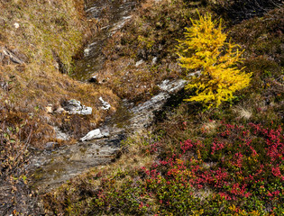 Peaceful autumn Alps mountain sunny view from hiking path from Dorfgastein to Paarseen lakes, Land Salzburg, Austria.