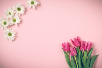 Spring tulips lie on a beautiful pink background. Background for International Women's Day.