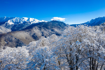 Winter Mountain landscape at the Rosa Khutor ski resort in Sochi, Russia. Snow covered trees, blue sky and snow covered mountains peaks