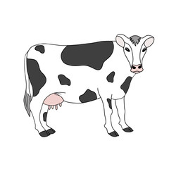Black and white standing cow. Cartoon hand drawn illustration. Dairy farm animal, element isolated on white background. Series of farm animals.