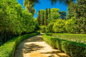 The idyllic garden in the Royal Alcazars of Seville, Andalusia, Spain.