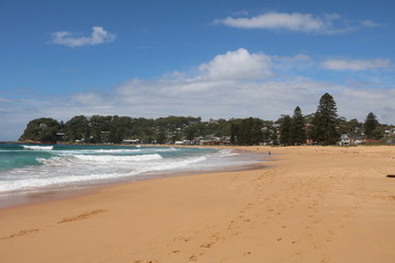 Avoca Beach nearby Sydney, New South Wales Australia