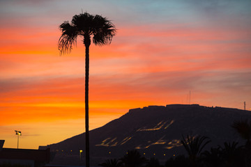 Lonely palm tree silhouette against  sunset sky and mountain with arabic inscription on the background, Agadir, Morocco