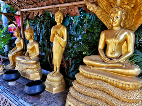 picture of some Buddha statues in a Temple in Thailand